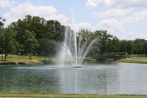 rolla lake